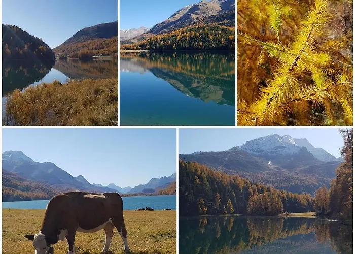 Апартаменты Chesa Madrisa *